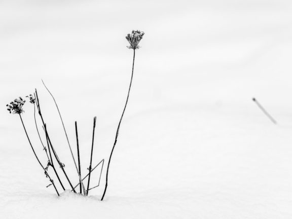 Photographie minimaliste, une série de paysages d’hiver tout noir et blanc
