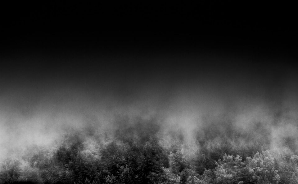 Fog, série de photographies tout en nuance de gris